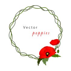 Vector white background with poppies N2