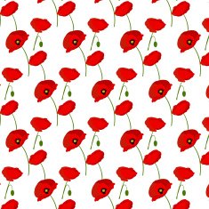 Seamless pattern with poppies flowers