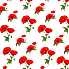 Seamless pattern with poppies flowers N2