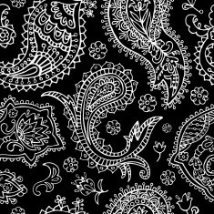 Paisley seamless pattern N70