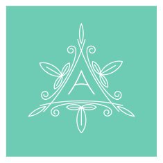 symmetric monogram A N2