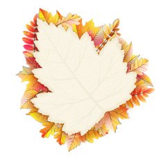 Autumn frame with fall leaf EPS 10 N5