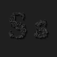 Decorated letter s N3