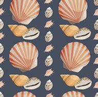 Seamless colorful background made of different shells