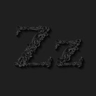 Decorated letter z N2
