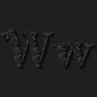 Decorated letter w N3