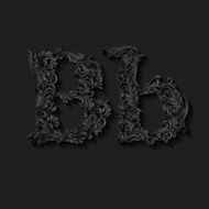 Decorated letter b N2