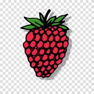 Raspberry sketch on transparent background for your design