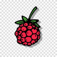 Raspberry sketch on transparent background for your design N2