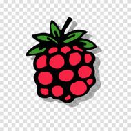 Raspberry sketch on transparent background for your design N3