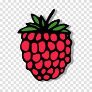 Raspberry sketch on transparent background for your design N4