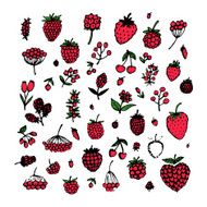 Berries collection sketch for your design N5