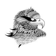 graphical eagle&#039;s head