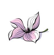 floral illustration N12