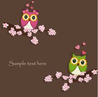 Two funny love the owl sitting on a flowering branch