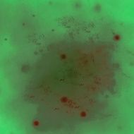 Grunge abstract background N986