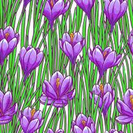 seamless background with purple crocuses