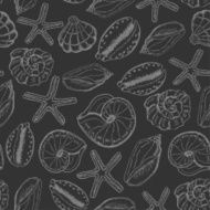 Seamless pattern with shells on dark background N2