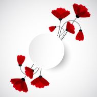 Abstract nature background Red poppy flowers N7