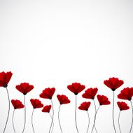 Abstract nature background Red poppy flowers N8
