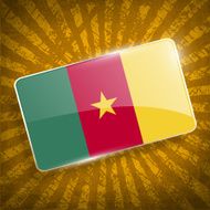 Flag of Cameroon with old texture N2