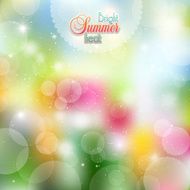 Summer background of flowers and herbs