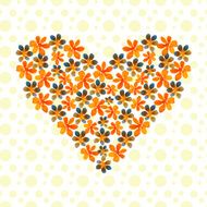 card N137