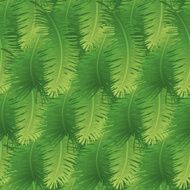 Seamless background palm leaves