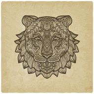 tiger head on grunge background