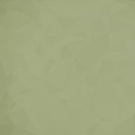 Vintage pattern background N13