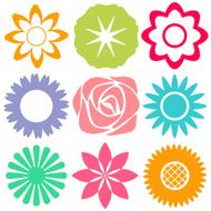 Flowers N204