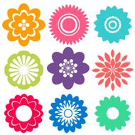 Flowers N205
