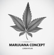Marijuana N9