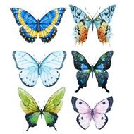 watercolor butterflies N2
