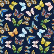 Watercolor butterfly pattern N4