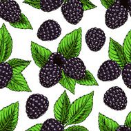 background with ripe bramble