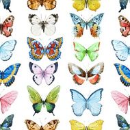Watercolor butterfly pattern N5
