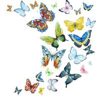 watercolor butterflies N3