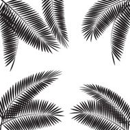 Palm Leaf Vector Illustration N6