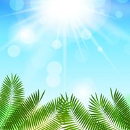 Summer Sunny Natural Background Vector Illustration N4