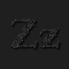 Decorated letter z N2