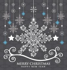 Christmas Snowflake N2