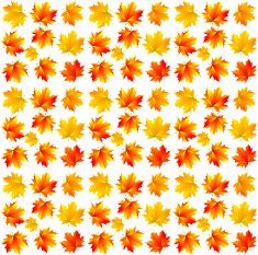 pattern of yellow maple leaves