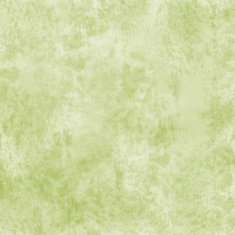 Grunge abstract background N972