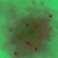 Grunge abstract background N986
