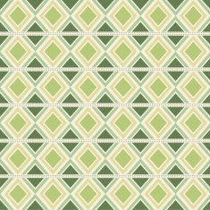 Seamless geometric ethnic pattern N8