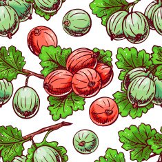 seamless gooseberry