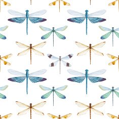 Watercolor dragonflies pattern