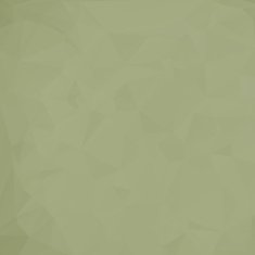 Vintage pattern background N13