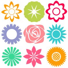 Flowers N204